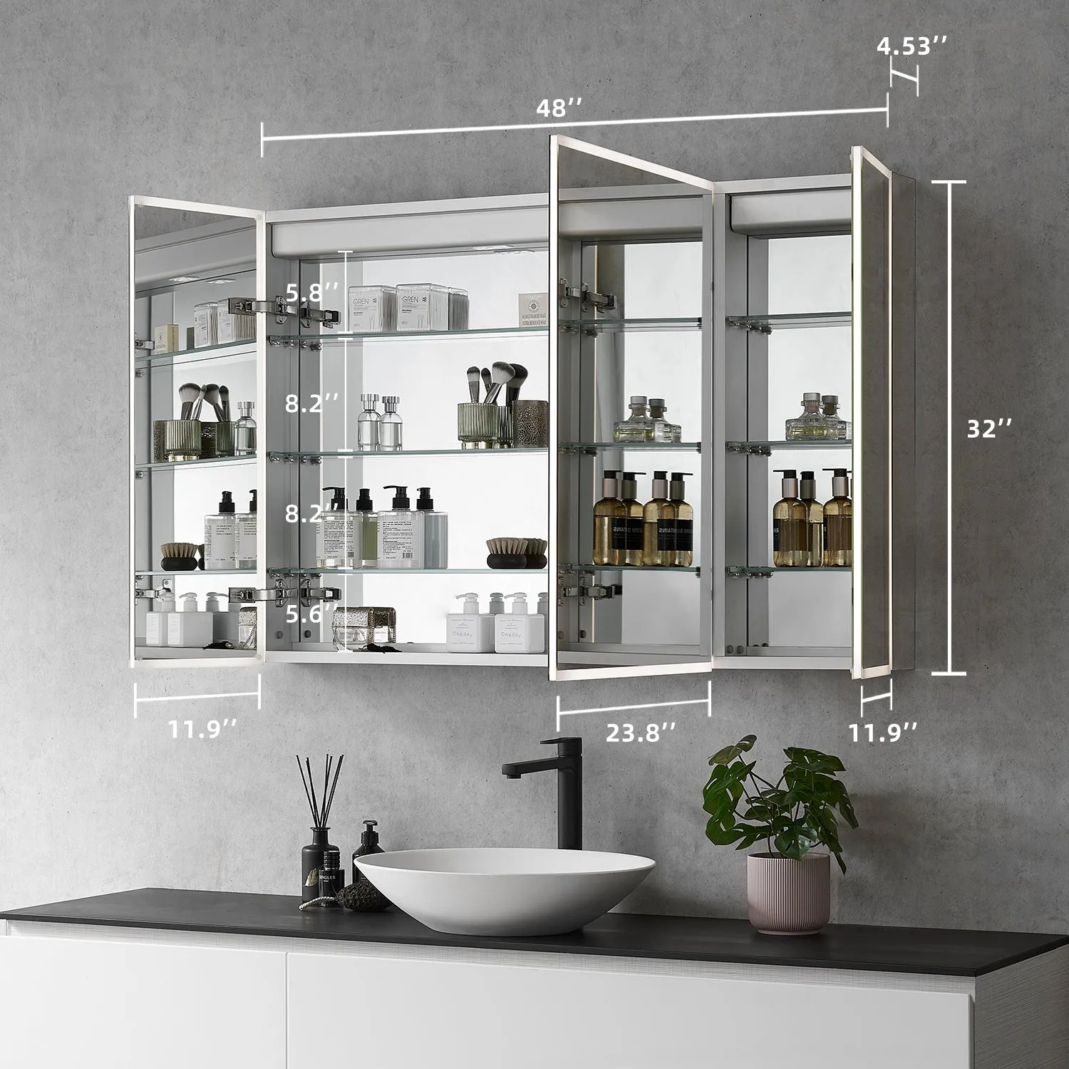 Carsoli Rectangle Frameless Surface-Mount/Recessed LED Lighted Bathroom Medicine Cabinet