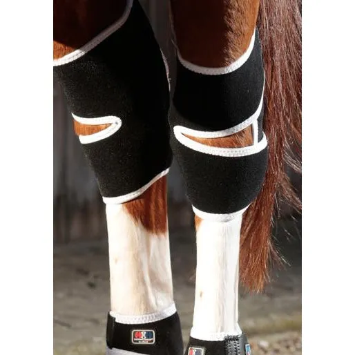 Premier Equine Magni-Teque Magnetic Hock Boots