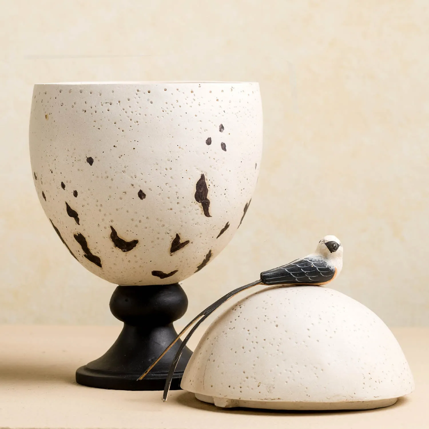 Scissor-Tailed Flycatcher Egg Caddy